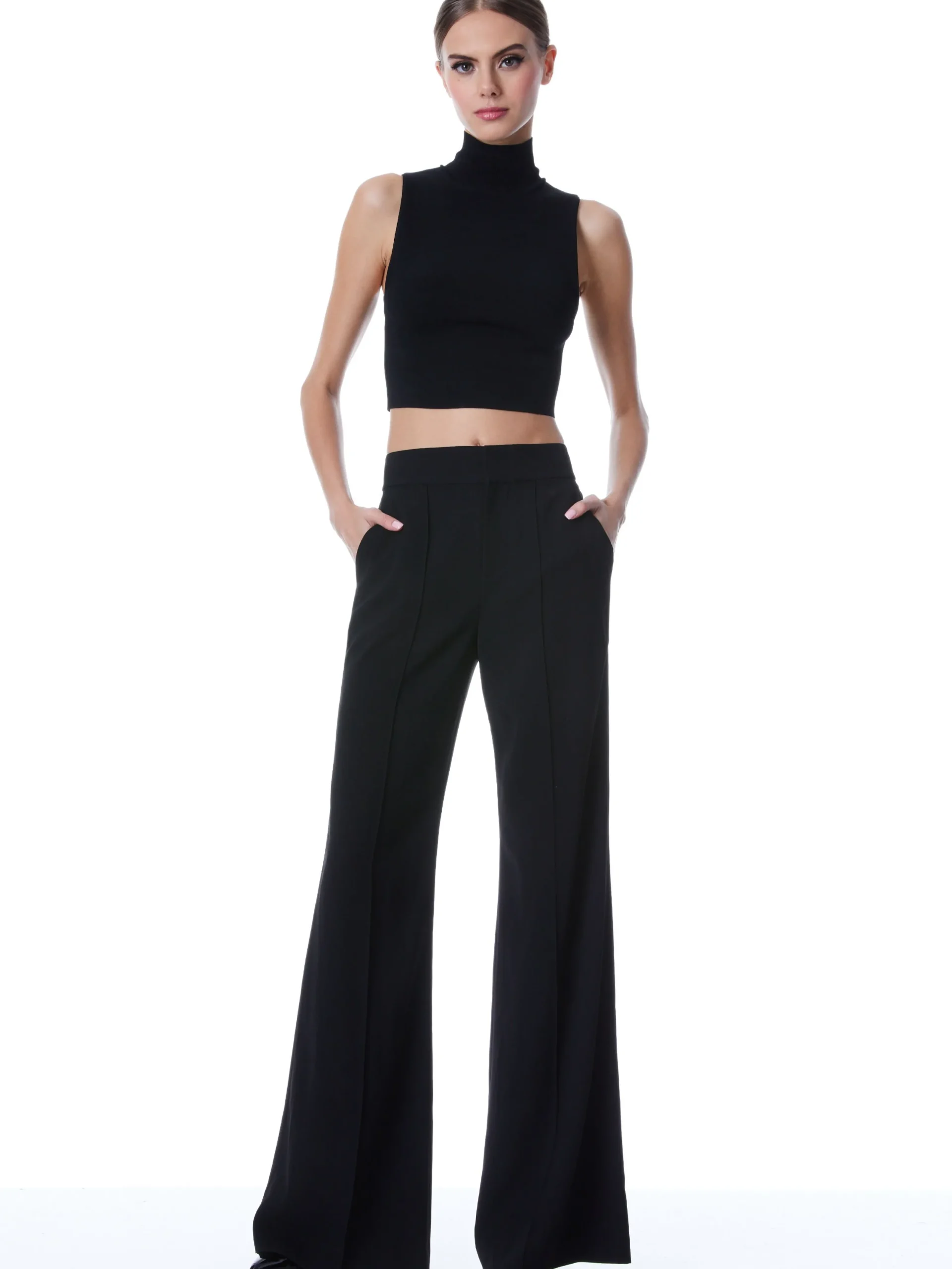 Alice and Olivia THE WORKWEAR EDIT|PANTS*DYLAN HIGH WAISTED WIDE LEG PANT