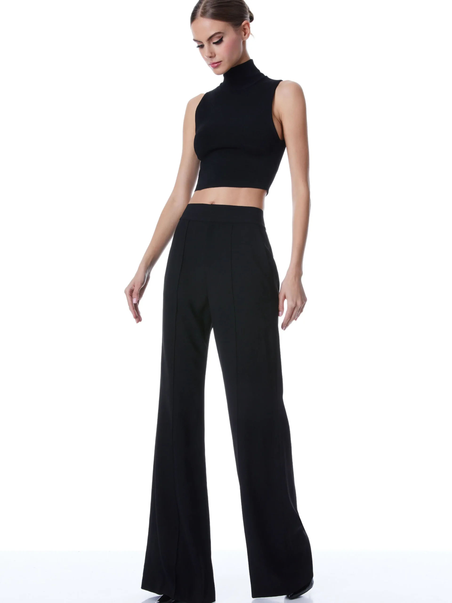 Alice and Olivia THE WORKWEAR EDIT|PANTS*DYLAN HIGH WAISTED WIDE LEG PANT