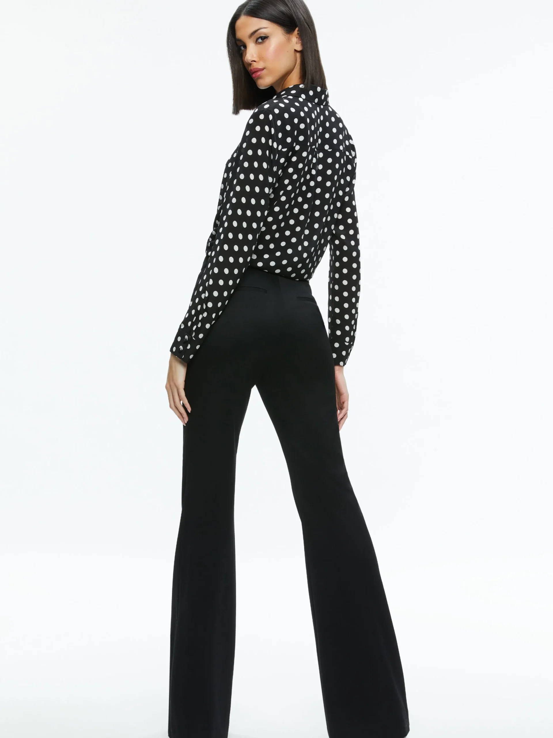 Alice and Olivia STACEY'S FAVORITES|ESSENTIALS*WILLA PLACKET TOP